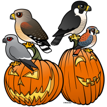 Birdorable Raptors on Pumpkins