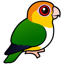 Birdorable White-bellied Parrot