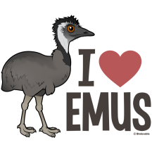 I Love Emus
