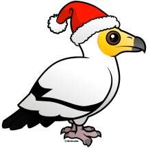 Egyptian Vulture Santa