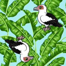 Palms & Nut Vultures