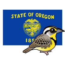 State Birdorable of Oregon: Western Meadowlark