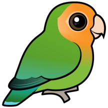 Orange-faced Green Lovebird