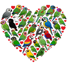 Parrot Heart