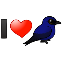 I Love Purple Martins
