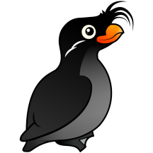Crested Auklet