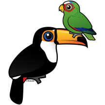 Toucan Tower