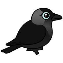 Jackdaw