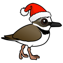 Wilson's Plover Santa Claus
