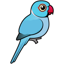 Blue Indian Ringneck