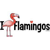 I Love Flamingos