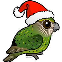 Kakapo Santa