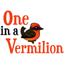 One In a Vermilion