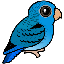Cobalt Linnie