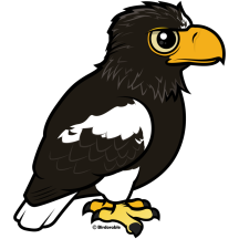 Steller's Sea Eagle