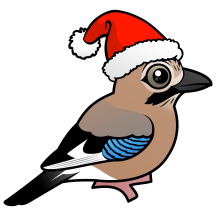 Eurasian Jay Santa Claus