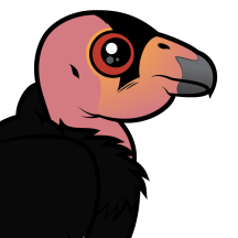 Vultures & Condors