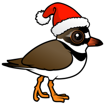 Semipalmated Plover Santa Claus