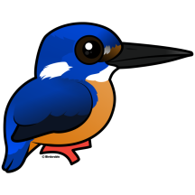 Azure Kingfisher