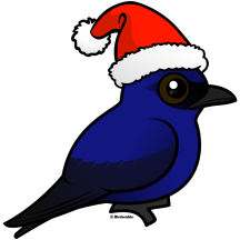 Purple Martin Christmas