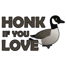 Honk If You Love Geese
