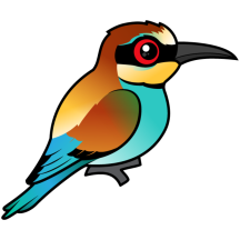 European Bee-eater