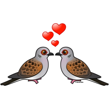 Two Turtle Doves in Love