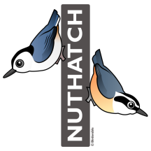 Nuthatch Fan