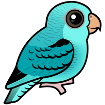 Turquoise Linnie