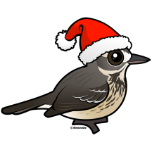 Santa American Pipit