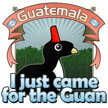 I Just Came for the Guan