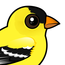 Finches