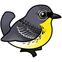 Kirtland's Warbler