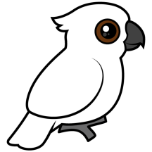Umbrella Cockatoo (flat)
