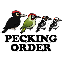 Pecking Order