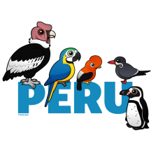 Birdorable Peru