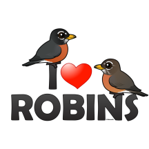 I Love American Robins