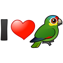 I Love Red-lored Amazons