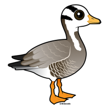Bar-headed Goose