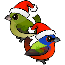 Festive Painted Bunting Pair