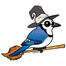 Halloween Blue Jay