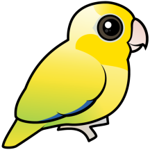 Cute Yellow Pacific Parrotlet