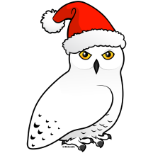 Snowy Owl Santa