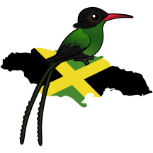 Jamaican Red-billed Streamertail