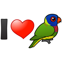 I Love Rainbow Lorikeets