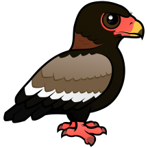 Bateleur