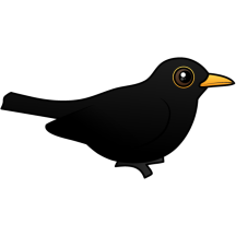 Customizable Blackbird