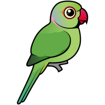 Cute Green Indian Ringneck