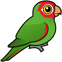 Birdorable Red-masked Parakeet