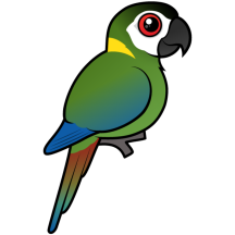 Birdorable Golden-collared Macaw